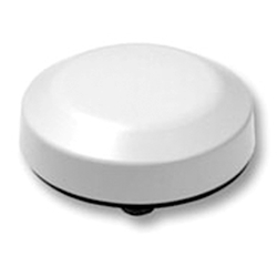 GPS Bulkhead Antenna